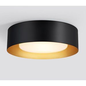 Modern Flush Mount Ceiling Light, 2-Light Black Round Close to Ceiling Light Fix